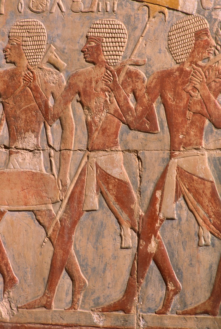 Relief einer Parade zu Ehren der Göttin Hathor (Detail) aus dem Totentempel der Hatschepsut (ca. 1503-1482 v. Chr.) von Egyptian 18th Dynasty