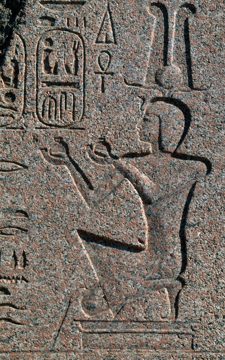 Block mit Reliefs und Inschriften von Ramses II, Großer Tempel des Amun, Tanis, Ägypten, Ägyptische Zivilisation, Neues Reich, Dynastie XIX von Egyptian 19th Dynasty