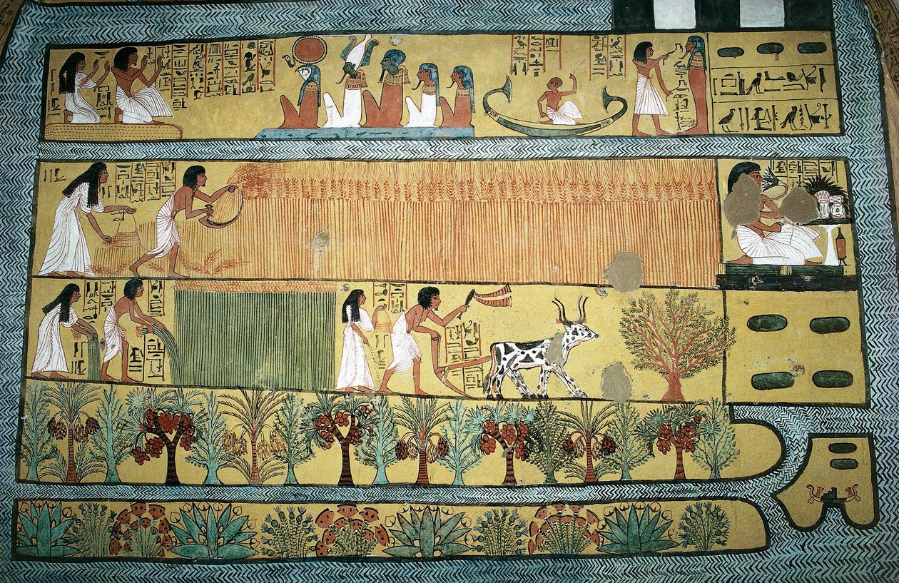 Ägypten, Theben, Dorf der Staatsarbeiter in Dayr al-Madinah, Grab von Sennedjem, Fresko, das landwirtschaftliche Szenen in den Feldern von Ialu darstellt, Neues Reich, Dynastie XIX von Egyptian 19th Dynasty