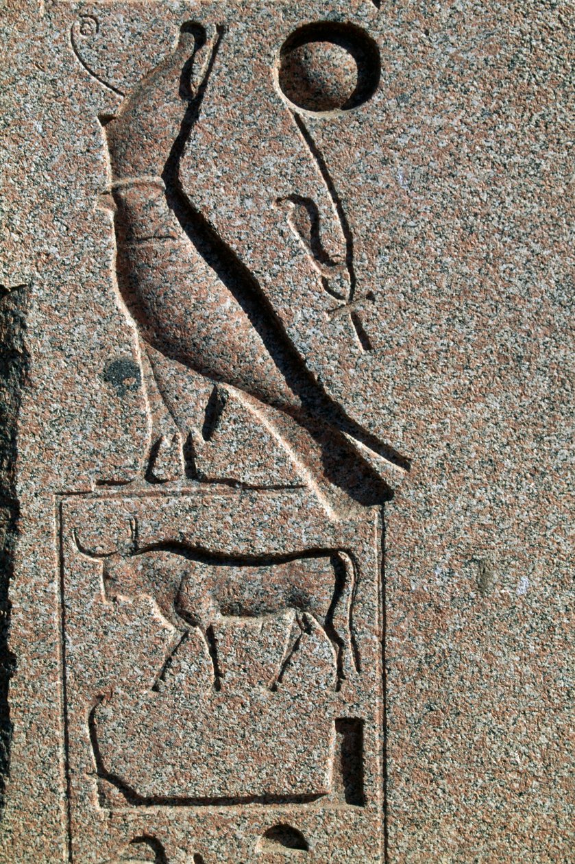 Hieroglyphe mit dem Namen von Horus, Großer Tempel von Amun, Tanis, Ägypten, Neues Reich, Dynastie XIX von Egyptian 19th Dynasty