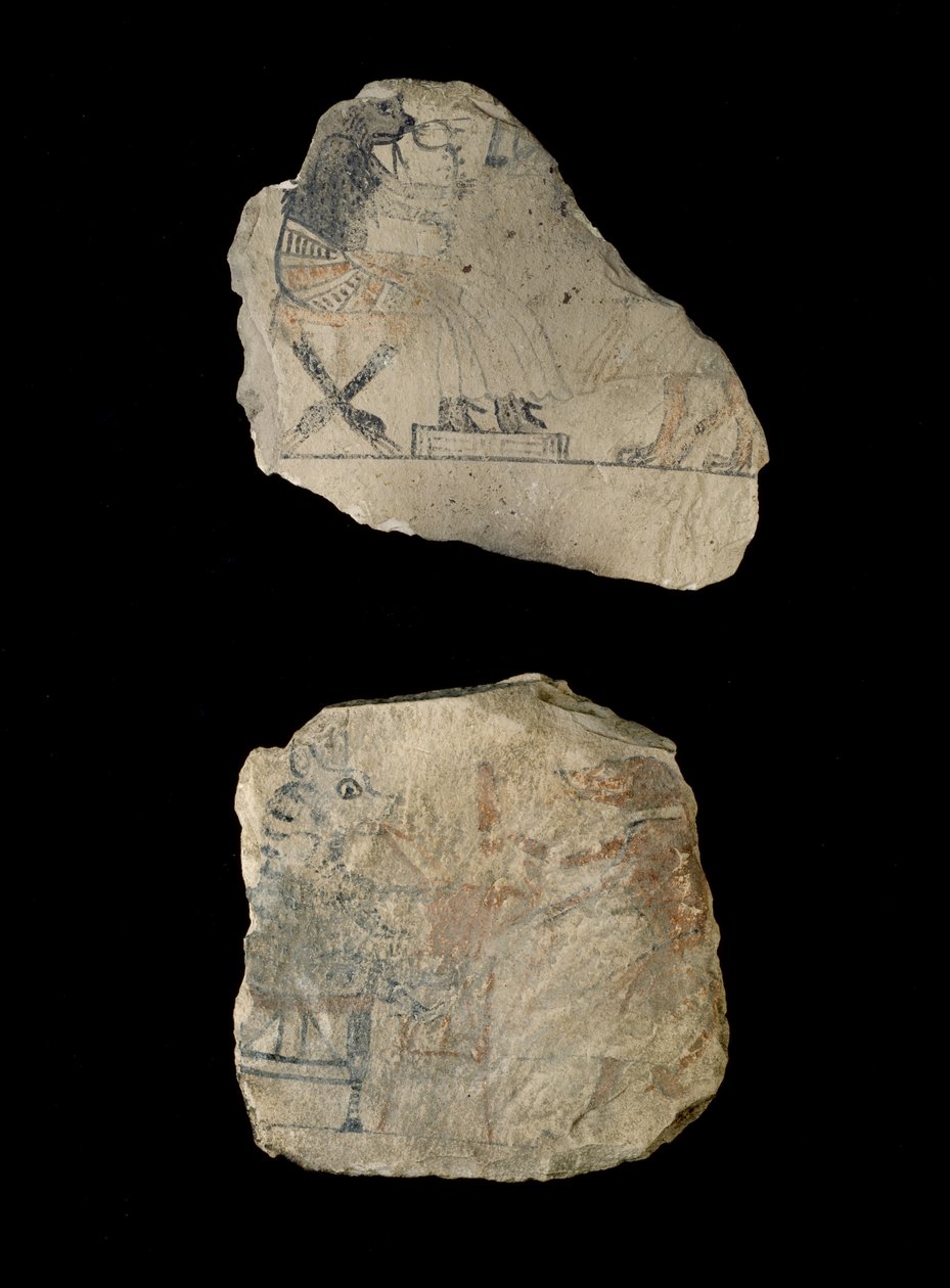 Kalkstein-Ostrakon mit humorvollen Skizzen in roter und schwarzer Tinte von Egyptian 19th Dynasty
