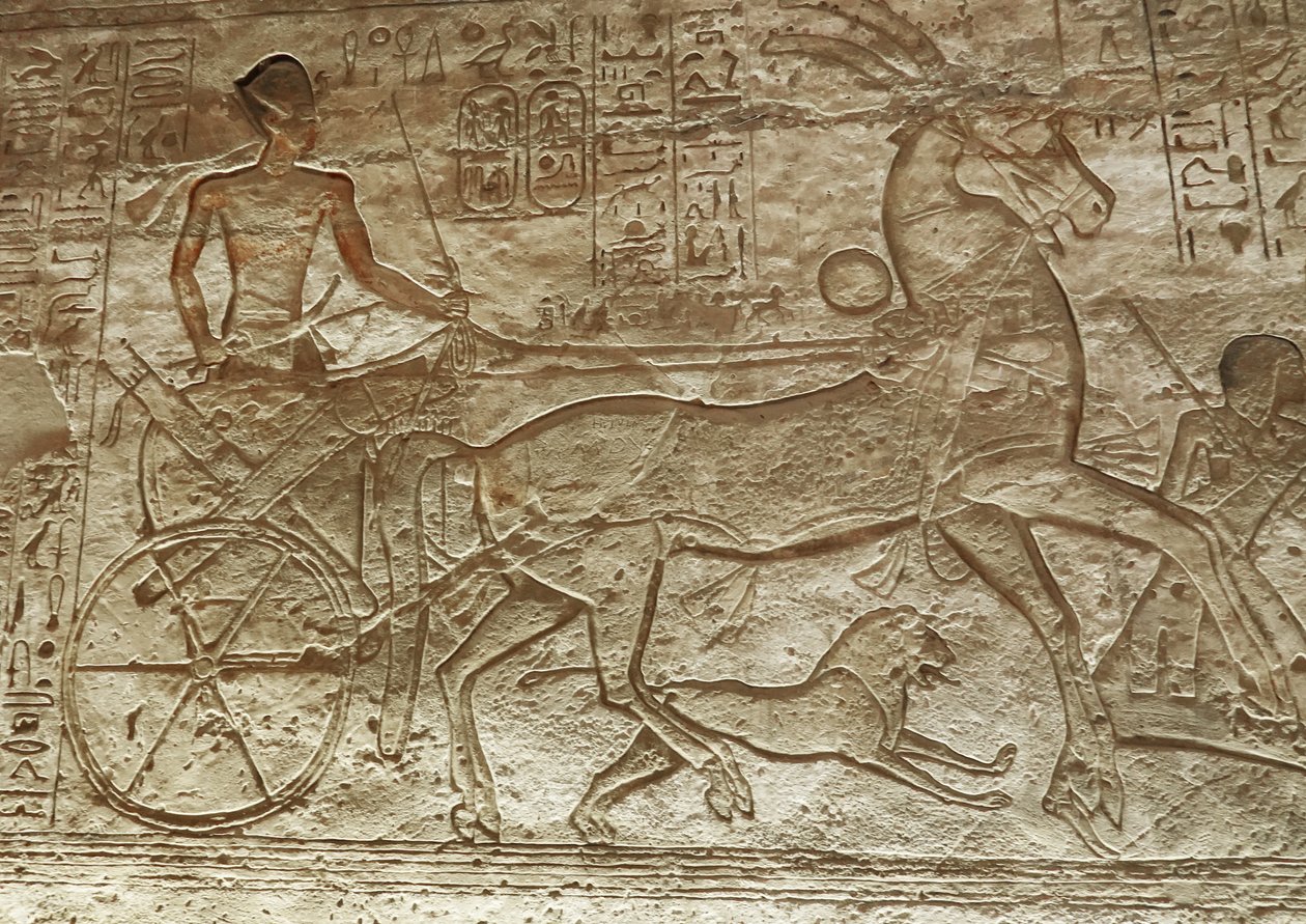 Ramses II. auf seinem Wagen, großer Tempel von Abu Simbel von Egyptian 19th Dynasty
