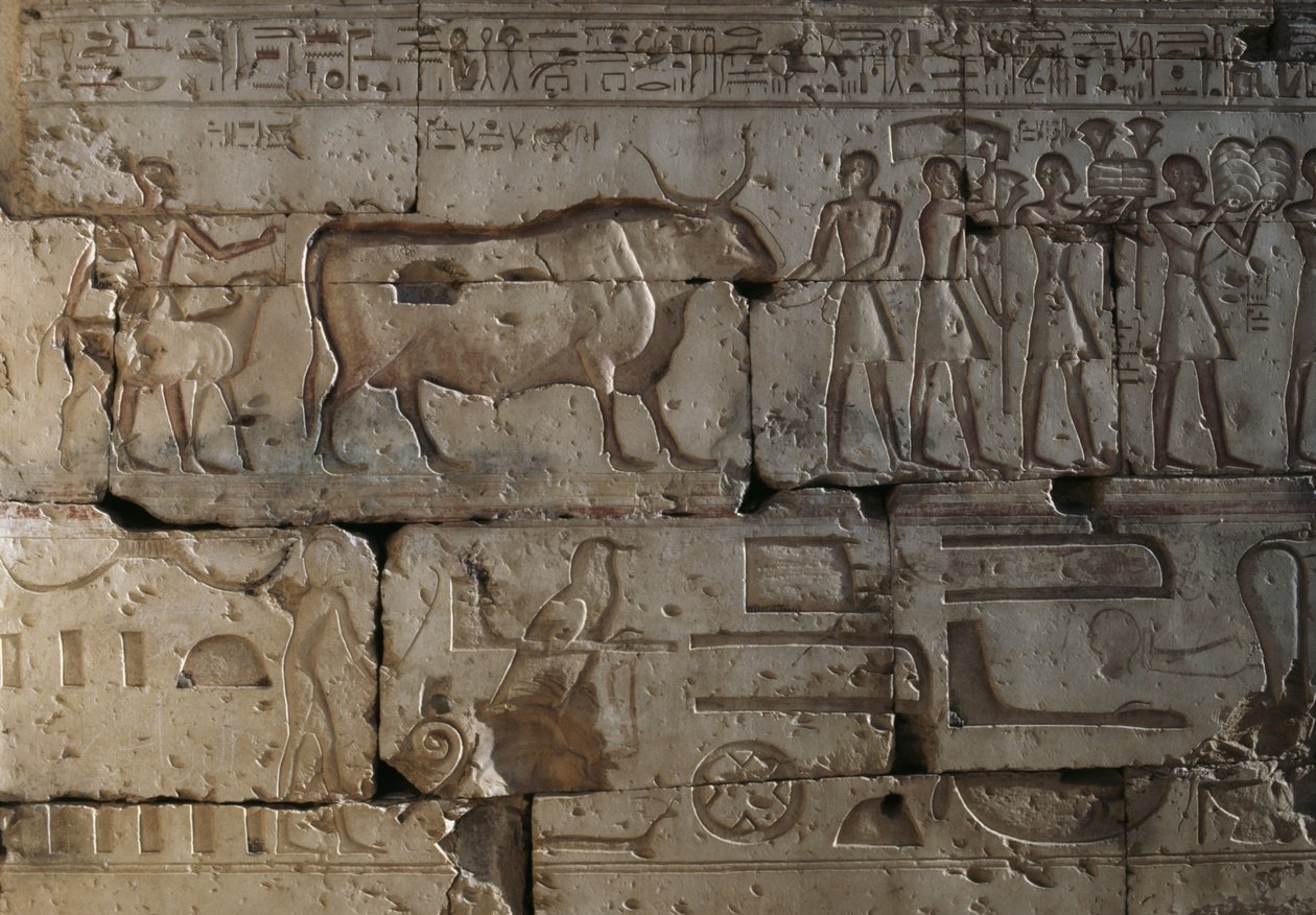 Relief, Tempel von Ramses II, Abydos, Ägypten, ägyptische Zivilisation, Neues Reich, Dynastie XIX von Egyptian 19th Dynasty