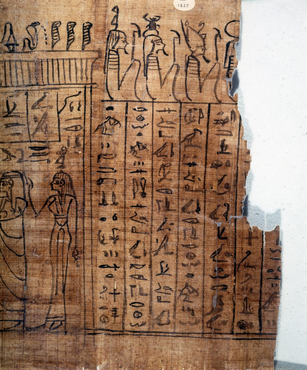 Das Totenbuch: Ägyptische Hieroglyphen auf einem Papyrus der 22. Dynastie. Detail. 9. Jahrhundert v. Chr. Turin, Ägyptisches Museum von Egyptian 22nd Dynasty