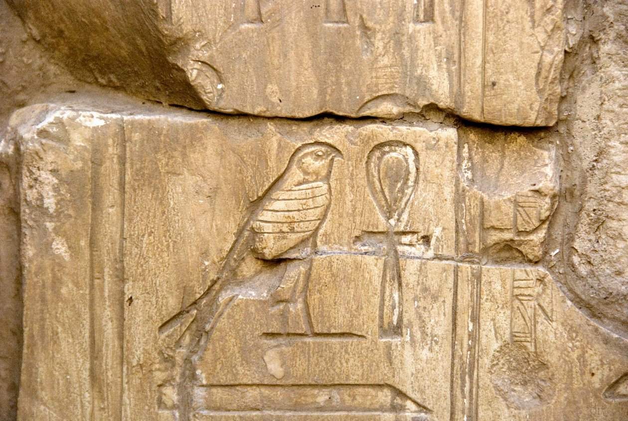 Ägyptische Antike: Kartusche von Ankh Hor. Grab von Ankh-Hor (Ankh Hor) (TT414) (26. Dynastie, 672-525 v. Chr.), Luxor (Theben), Ägypten von Egyptian 26th Dynasty