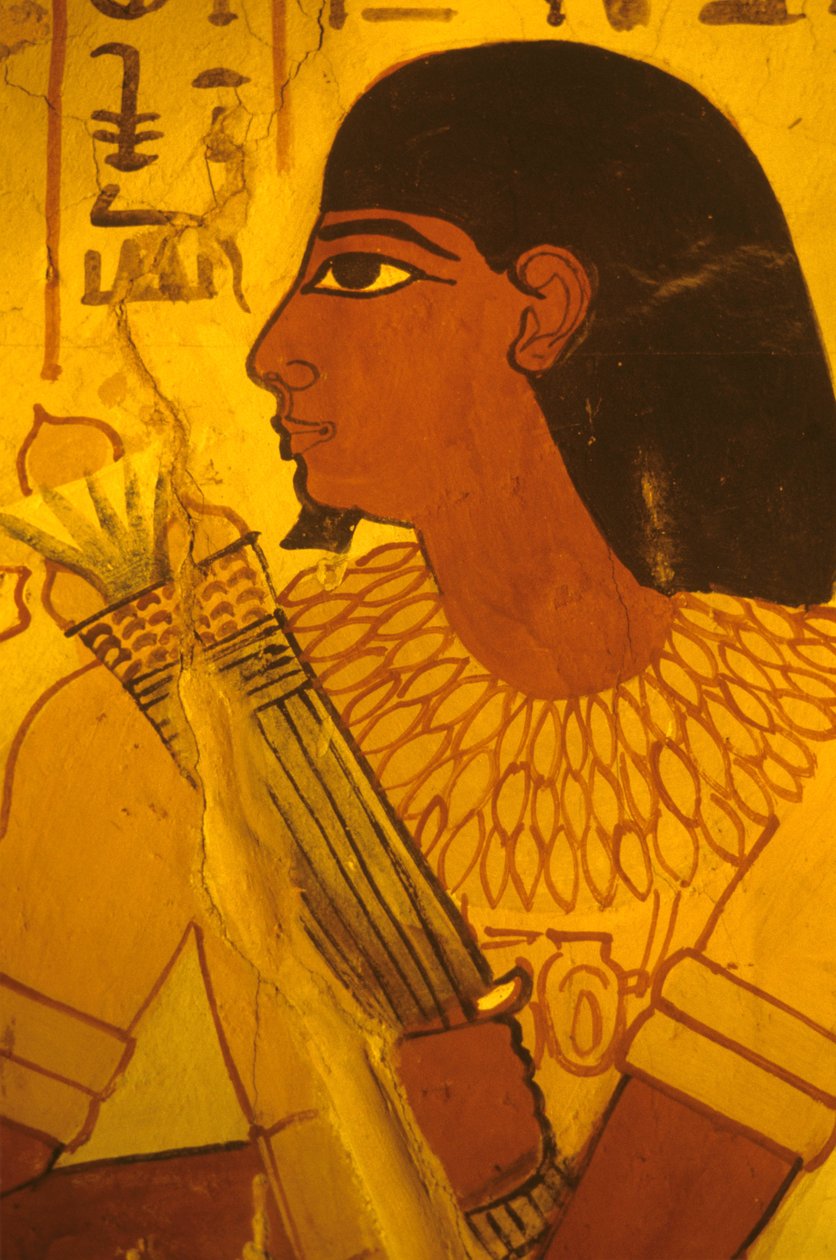 Altes Ägypten, Grab von Sennufer, Wandmalerei, Wandbild, Fresko, Sennufer empfängt Lotusknospen, Bürgermeister von Theben, Aufseher unter Amenophis II. von Egyptian Egyptian