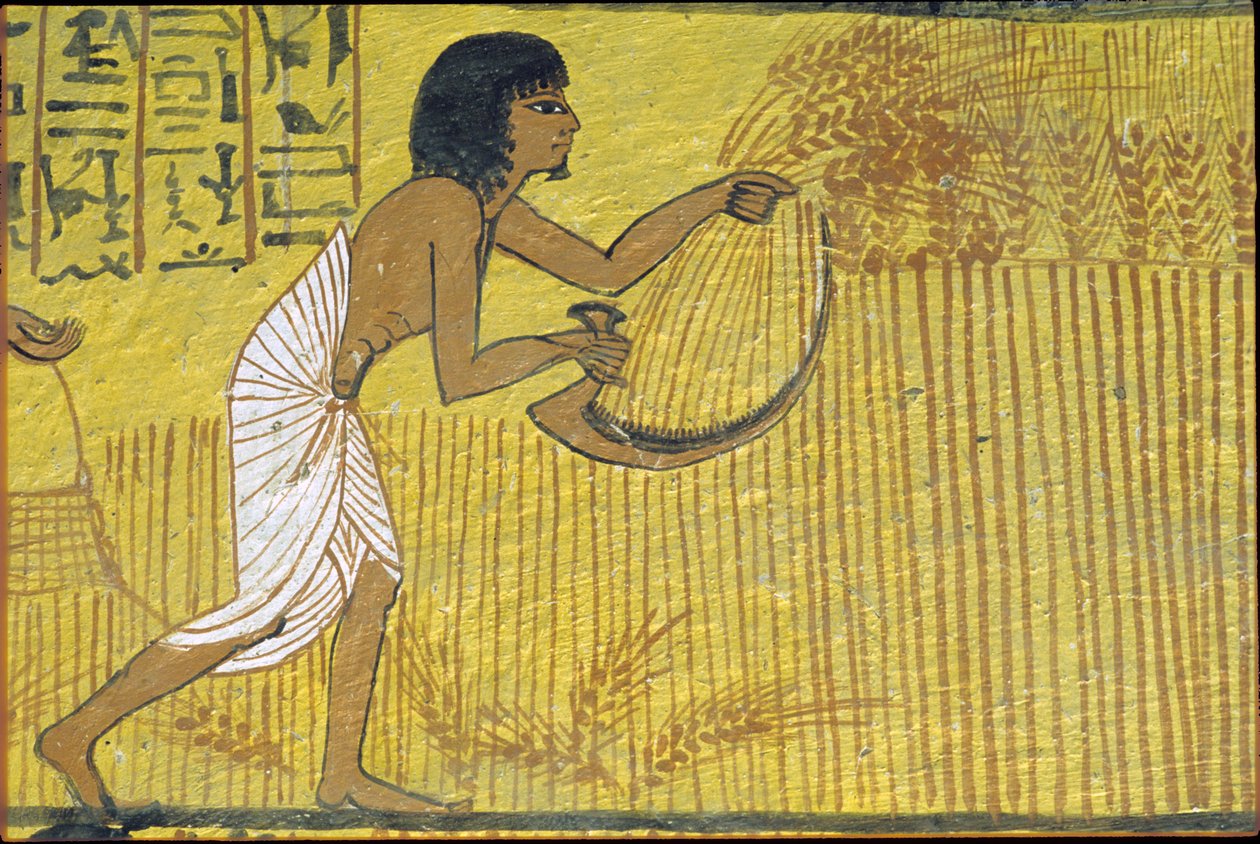 Altes Ägypten, Wandmalerei, Grab von Sennedjem, Grab der Noblen, Theben, Deir el Medina von Egyptian Egyptian