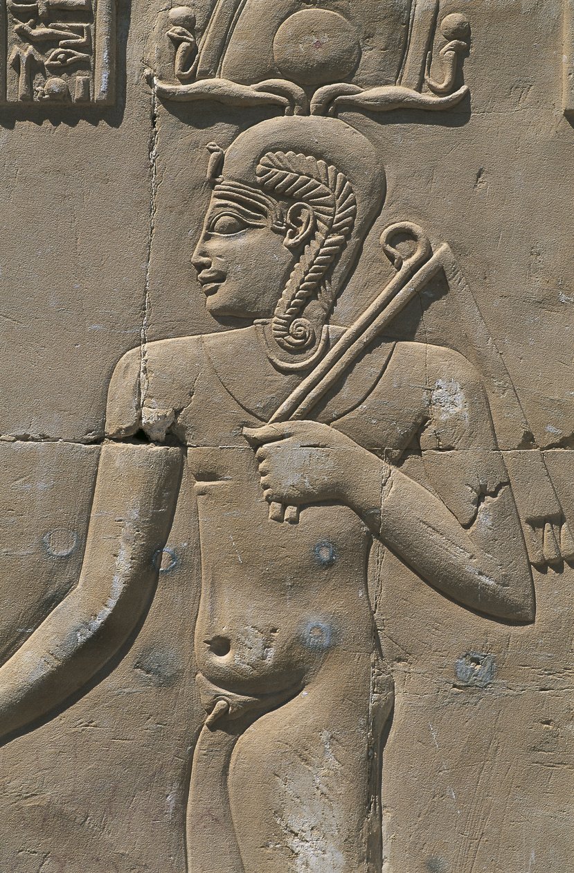 Ägypten, Libysche Wüste, Al-Dakhilah (Dakhla) Oase, Dayr al-Haggar, Relief im ägyptischen Tempel von Egyptian Egyptian