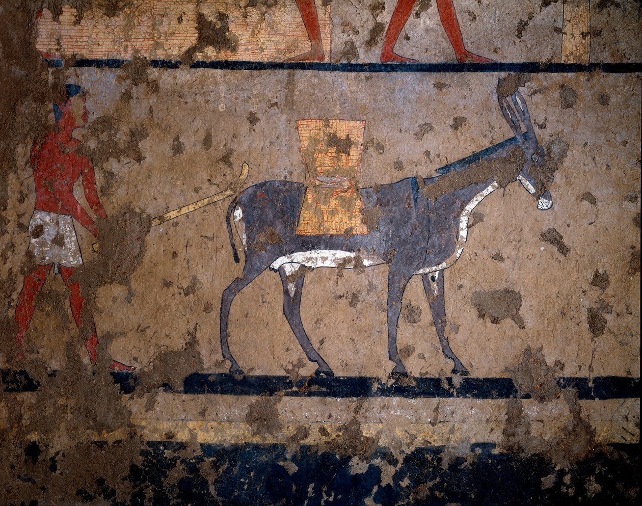 Ägyptische Antiquität: "Der Getreidetransport auf dem Rücken eines Maultiers". Temperamalerei an der Wand des Grabes des Kanzlers von König Iti (oder Ity) 2200-2000 v. Chr. Aus El Ghebelen, Luxor. Turin, Ägyptisches Museum von Egyptian Egyptian