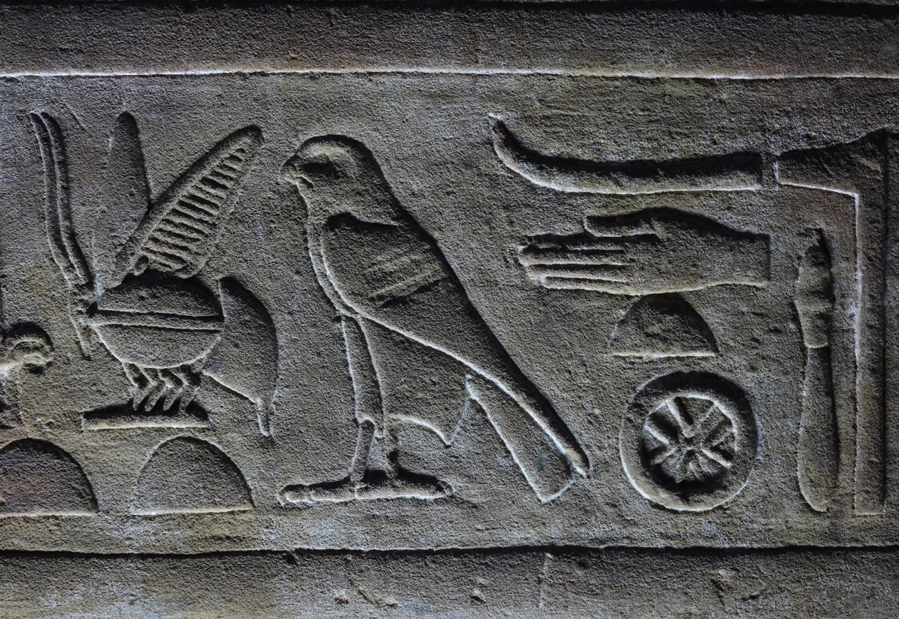 Hieroglyphen, Pharaos Biene und der Horusfalke, Horustempel, Edfu von Egyptian Egyptian
