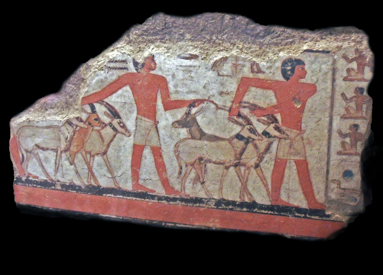 Wüste (Oryx, Gazellen) werden vor Metchetch gebracht. Alte ägyptische Wandmalerei von Egyptian Egyptian