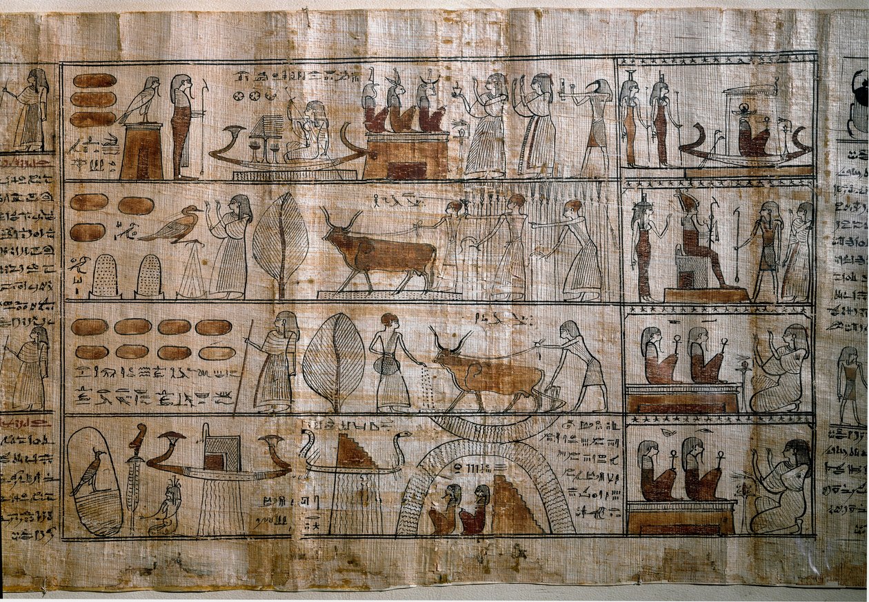 Ägyptische Antiquität: die Elysischen Felder. Papyrus eines Totenbuchs. Ptolemäische Zeit. Turin, Ägyptisches Museum von Egyptian Ptolemaic Period