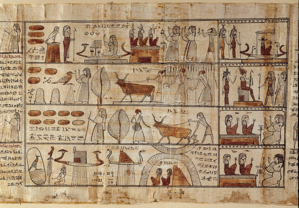 Ägyptische Antiquitäten: die Elysischen Felder. Malerei auf Papyrus aus dem Totenbuch. Ptolemäische Zeit. Ägyptisches Museum, Turin von Egyptian Ptolemaic Period