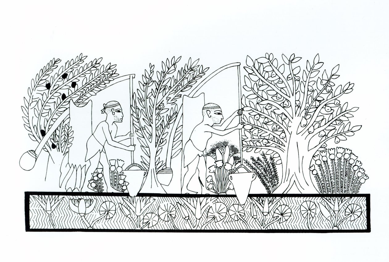 Ein antiker ägyptischer Garten von Egyptian School