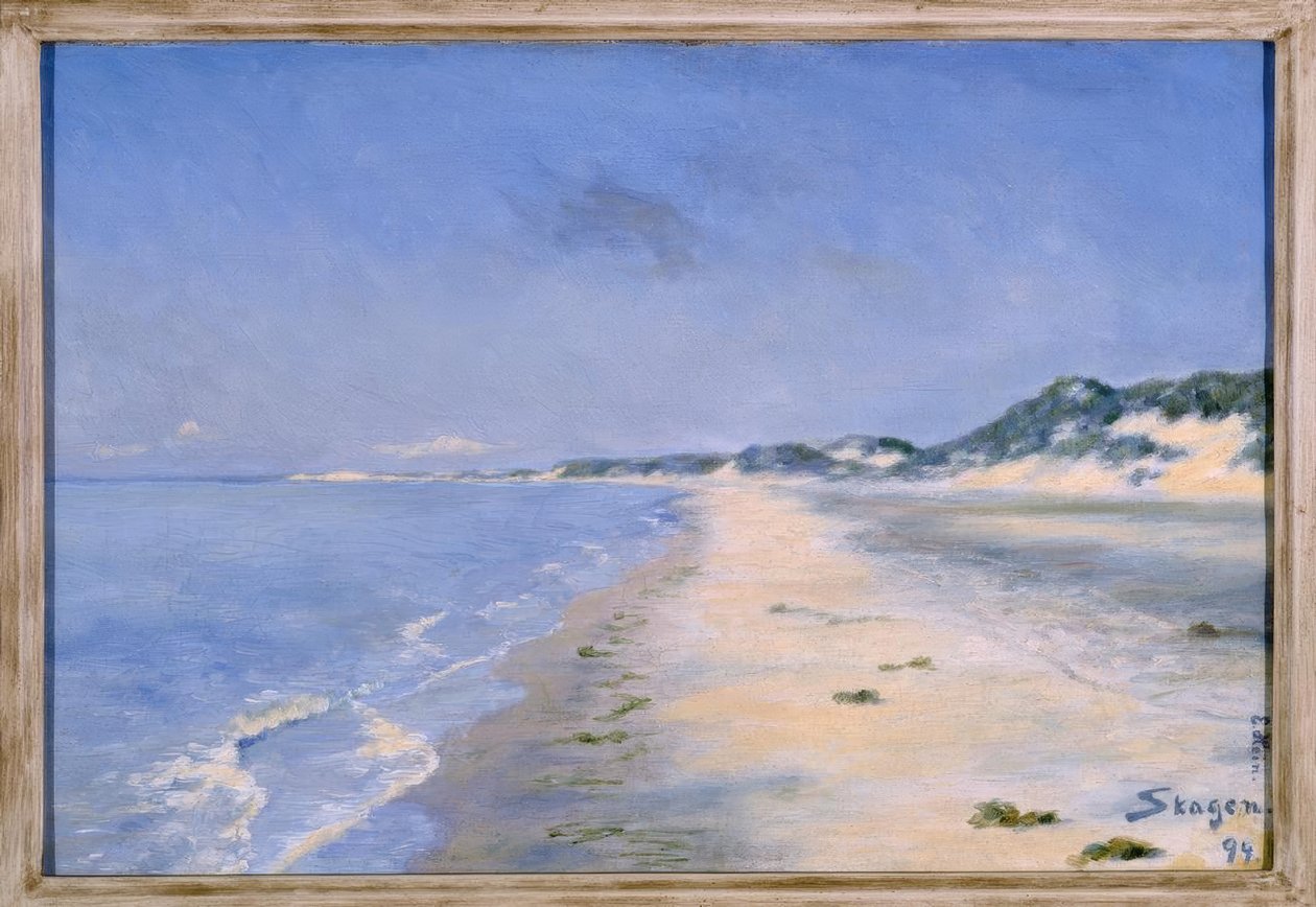 Ein herrlicher Sommertag in Skagen von Einar Hein