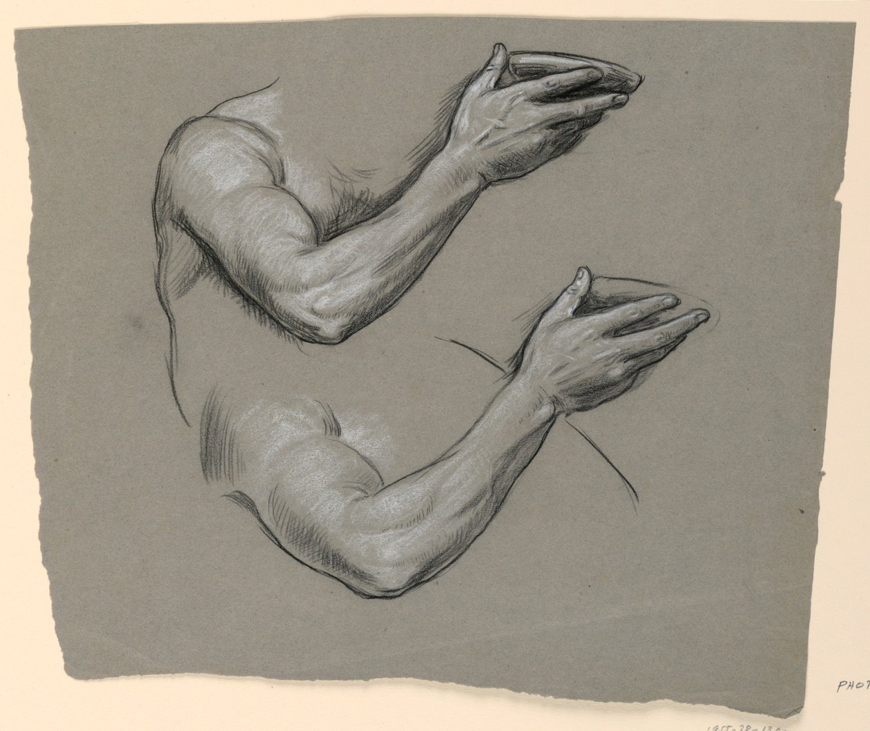 Details von zwei männlichen Armen, ca. 1885 von Elihu Vedder