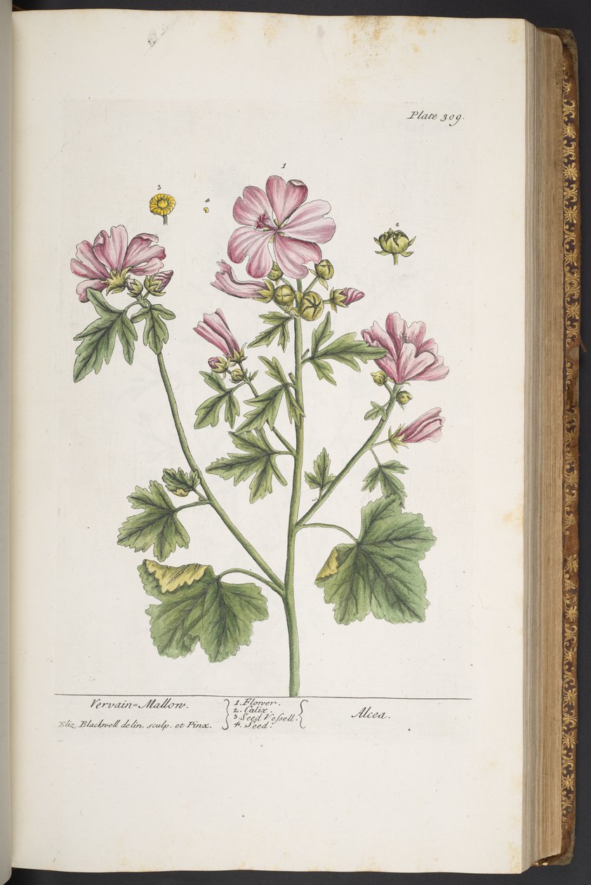Tafel 309, aus 