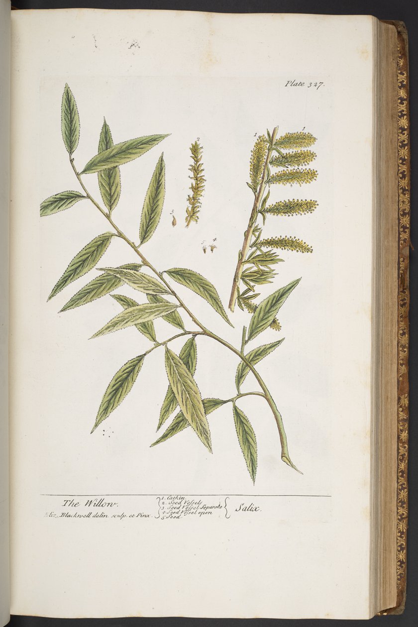 Tafel 327, aus 