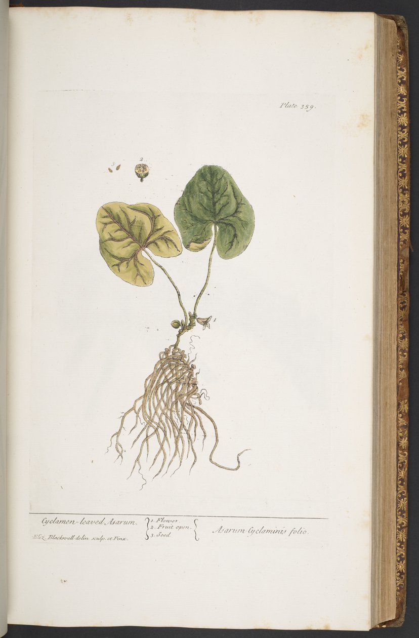 Tafel 359, aus 