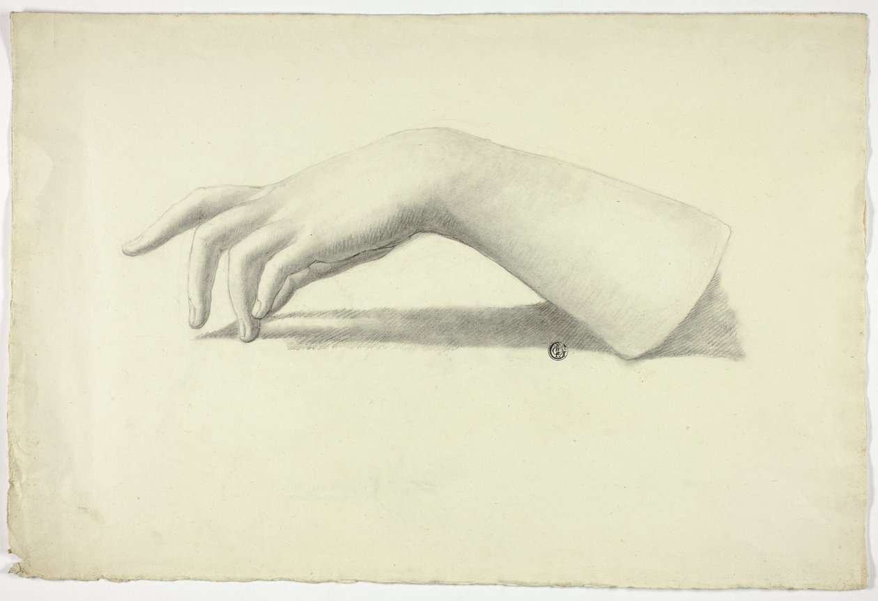 Linker Unterarm und Hand von Elizabeth Murray