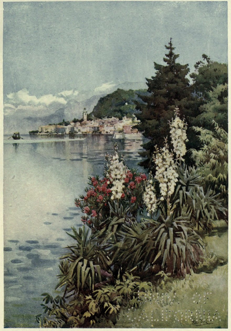 Eine Gruppe von Yuccas, Villa Melzi, Lago di Como, Illustration aus 