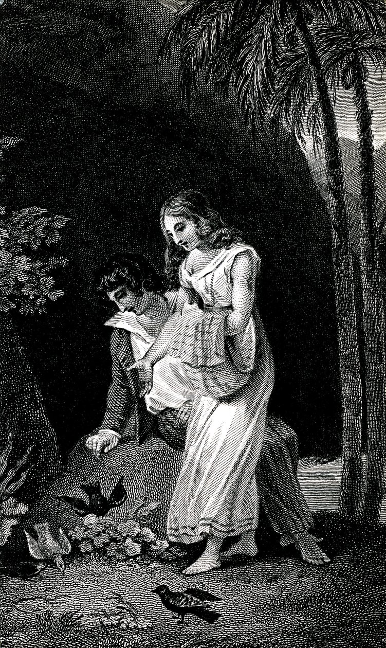 Gravur, die eine späte Ausgabe des 19. Jahrhunderts des Romans von Jacques-Henri Bernardin de Saint Pierre (Jacques Henri Bernardin de Saint-Pierre): Paul et Virginie illustriert. Vögel landen ohne Angst in der Nähe des jungen Liebespaares im Wald. Zeichnu von Emile Antoine Bayard