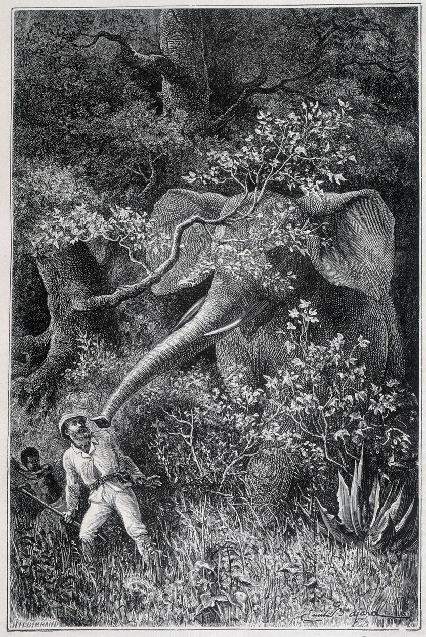 Livingstone überrascht von einem Elefanten, in „Le Tour du Monde“ von Emile Antoine Bayard