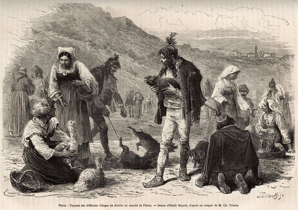 Die Bauern in der Umgebung von Pisino (Kroatien) versammeln sich zum Verkauf ihrer landwirtschaftlichen Produkte auf dem Markt: Geflügel, Ferkel..., Gravur nach einer Zeichnung von Emile Bayard zur Illustration der Reise nach Istrien und Dalmatien, 1874, v von Emile Antoine Bayard