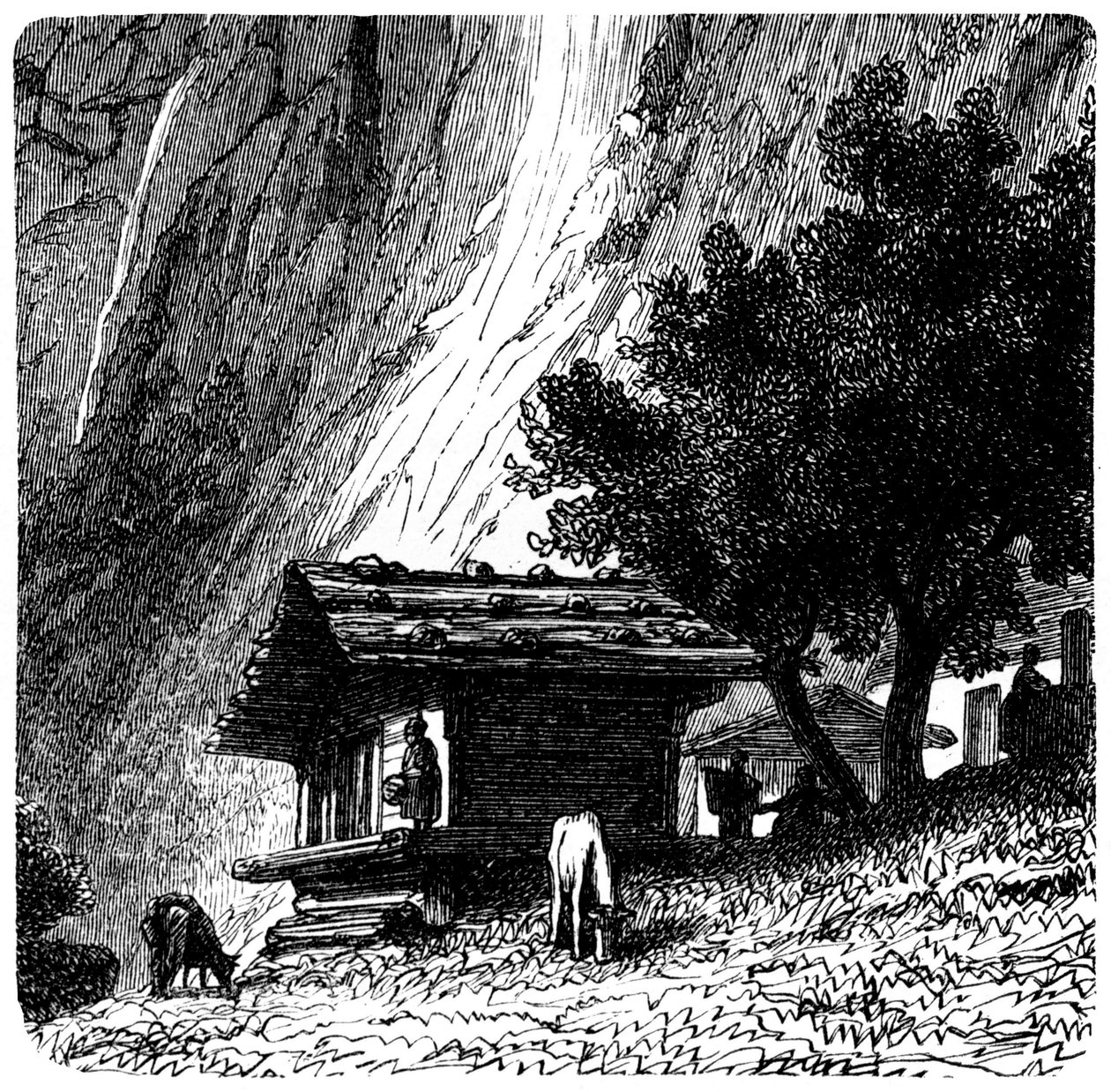 Ansicht der Alpen: altes Chalet am Fuße einer Klippe mit grasenden Kühen (Weide). Illustration von Emile Bayard (Detail) für das Buch 