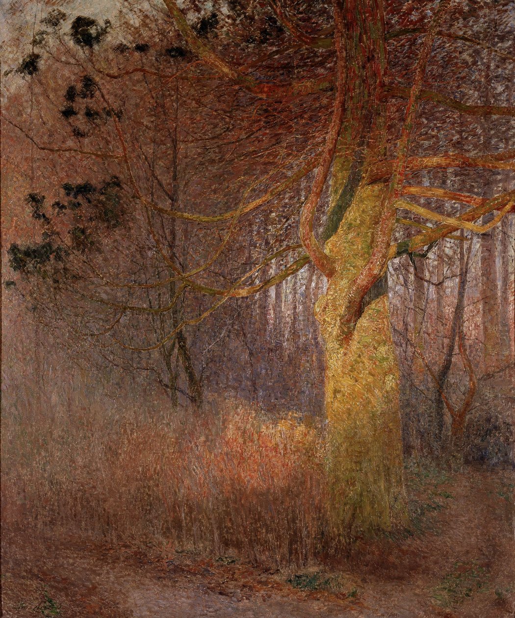 Sonniger Baum von Emile Claus