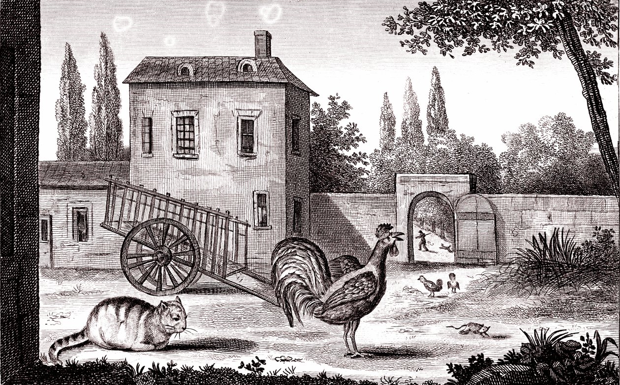 Der Hahn, die Katze und die Maus, Fabel von La Fontaine von Emile Joseph Alexandre Gouget