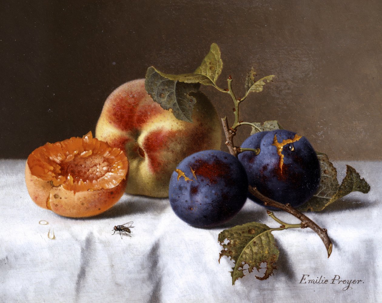 Stillleben mit Pfirsichen und faulen Pflaumen von Emilie Preyer
