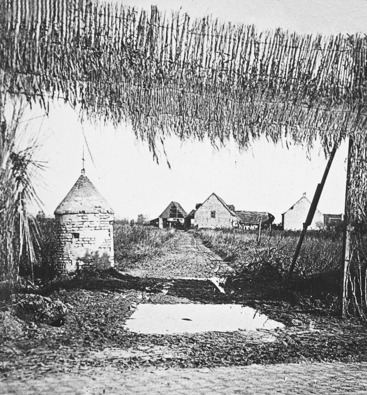 Einfallsreiche Tarnung zur Verbergung von Kommunikationslinien und Geschützstellungen vor deutschen Fliegern von English Photographer