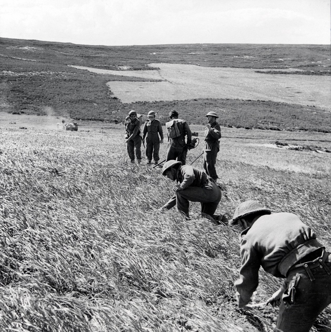 Pioniere der 237. Feldkompanie, Royal Engineers, räumen ein Minenfeld nach dem Angriff der Ersten Armee auf Toukabeur und Chaouach, April 1943 von English Photographer