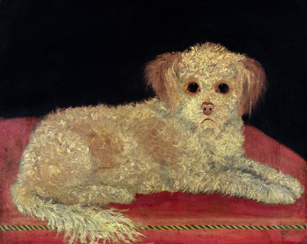 Ein Terrier auf einem roten Kissen, Provinzschule von English School