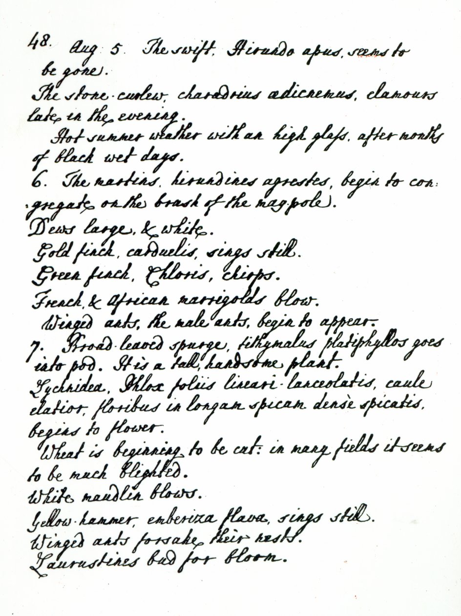 Eine Seite aus dem Tagebuch von Rev. James Woodforde von English School