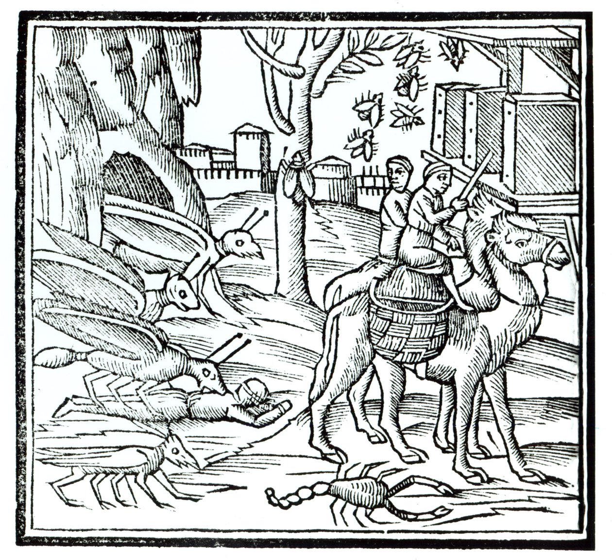 Darstellung der Pest, 1572 von English School