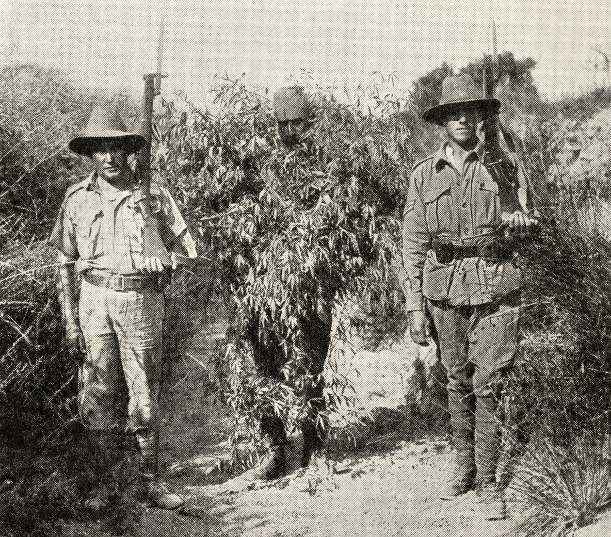 Ein türkischer Scharfschütze, als Busch getarnt, in Gewahrsam nach der Gefangennahme durch ANZAC-Truppen, aus 