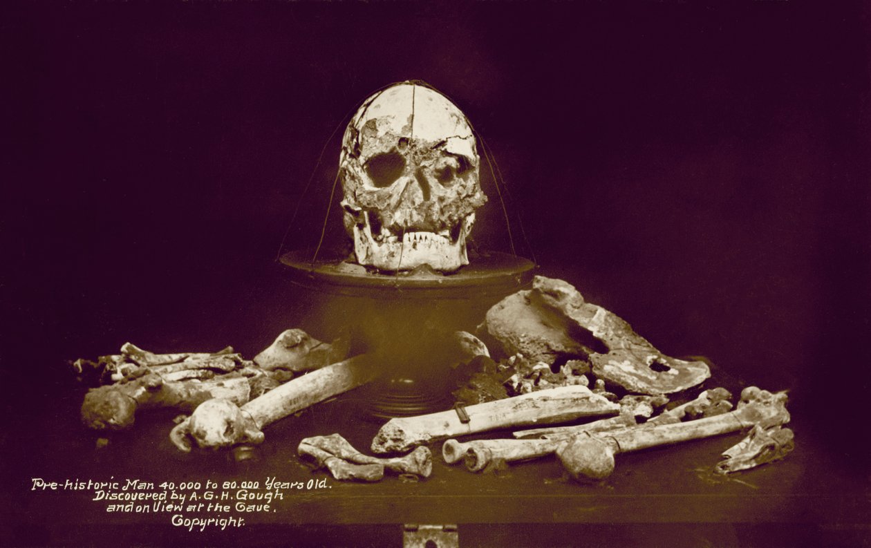 Knochen eines prähistorischen Menschen, 40.000 bis 80.000 Jahre alt, entdeckt von A.G.H. Gough von English Photographer