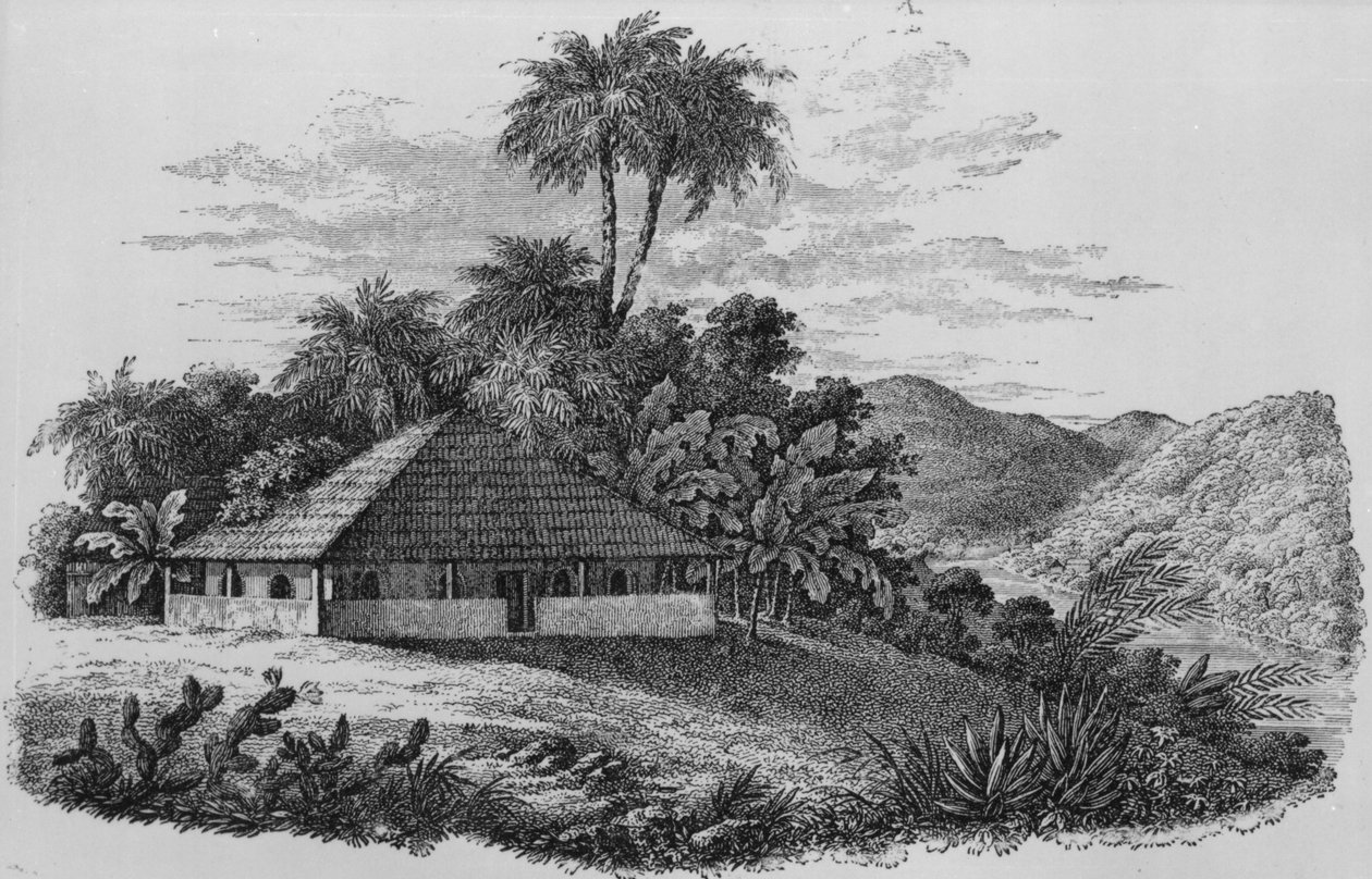 Das Haus eines Pflanzers in Brasilien (Lithographie) von English School