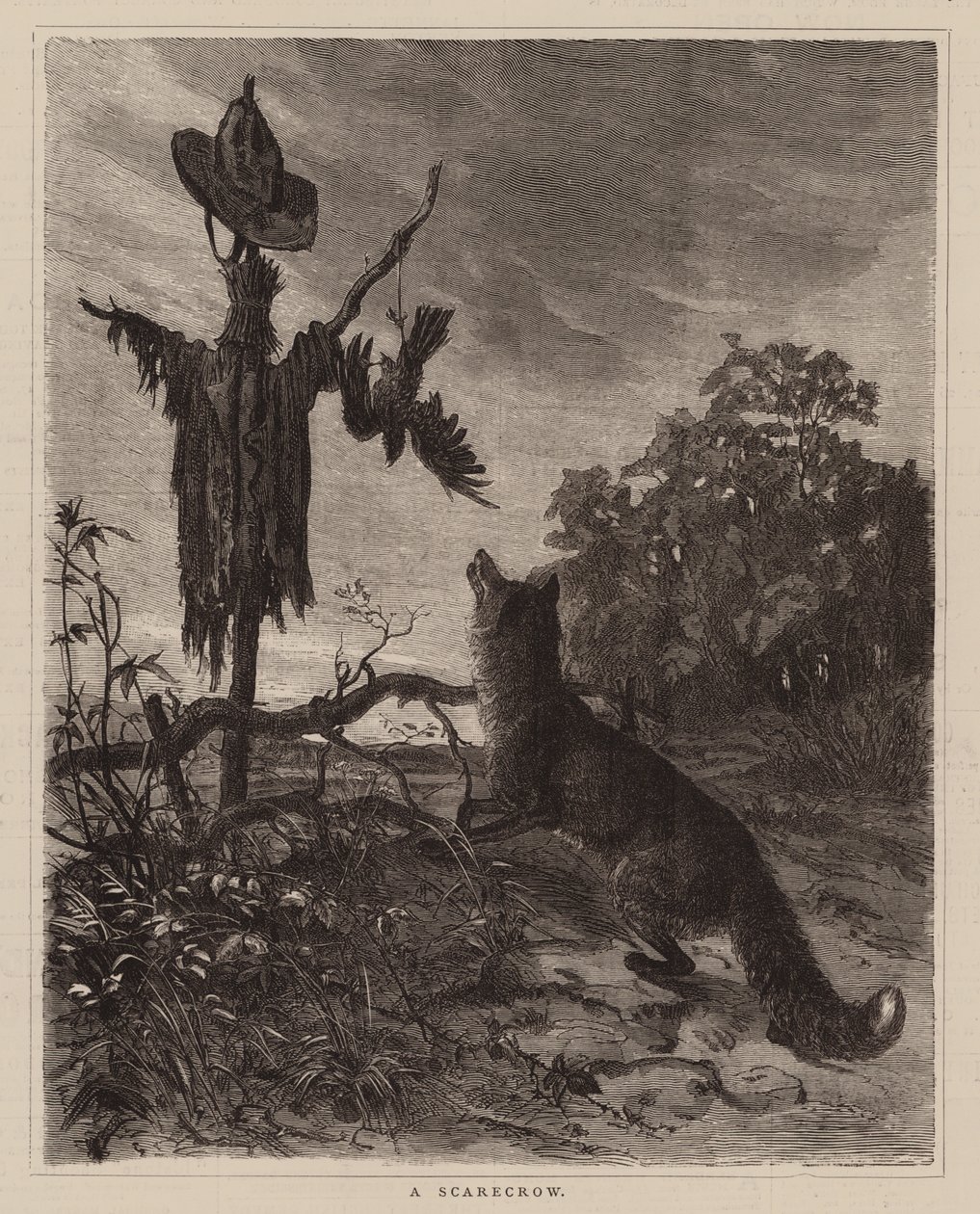 Eine Vogelscheuche (Gravur) von English School