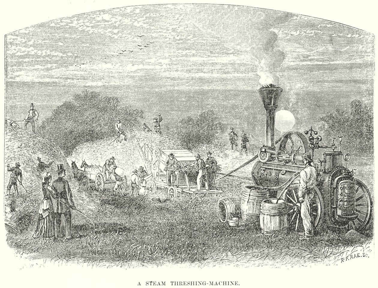 Eine Dampfdreschmaschine von English School