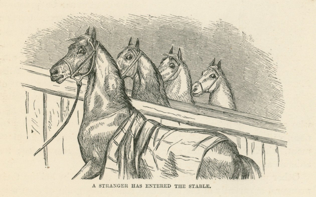 Ein Fremder ist in den Stall eingetreten von English School