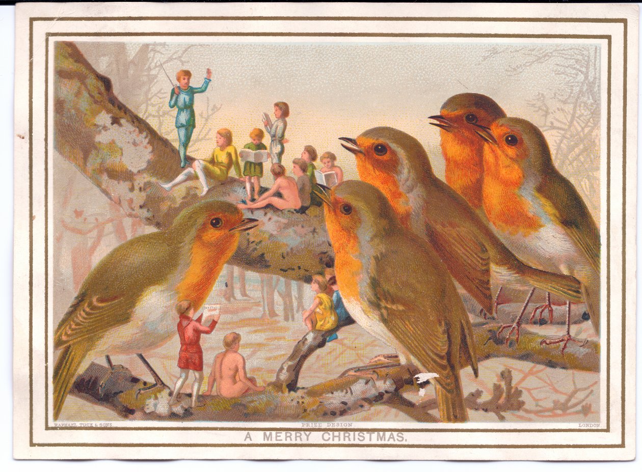 Viktorianische Weihnachtskarte mit fünf Rotkehlchen, die auf einem Ast sitzen und einer Feenband zuhören, ca. 1880 von English School