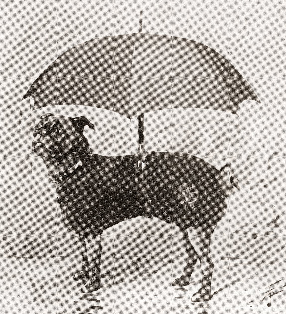 Ein Mops mit Stiefeln, Mantel und Regenschirm, um sich vor dem Regen zu schützen von English School