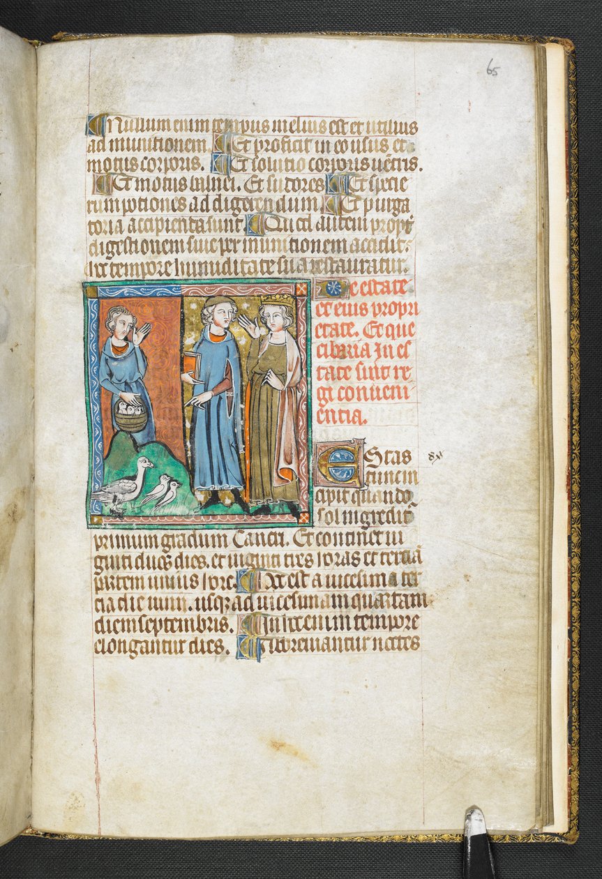 Aristoteles zeigt auf Vögel, die dem König gebracht werden, aus Secretum Secretorum, ca. 1326-27 von English School