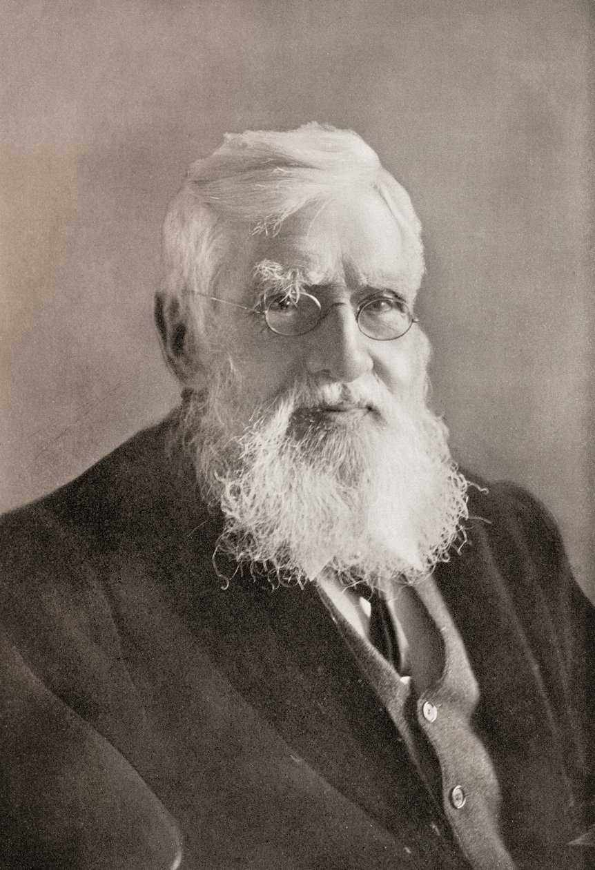 Alfred Russel Wallace, aus 