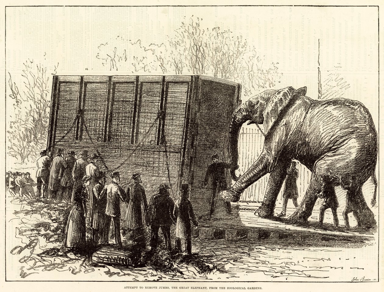 Versuch, Jumbo, den großen Elefanten, aus dem Zoologischen Garten zu entfernen von English School