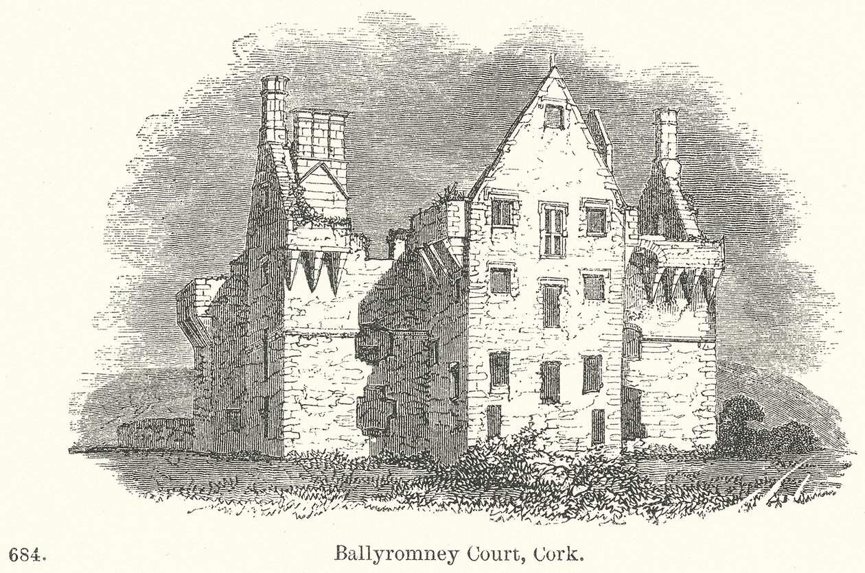 Ballyromney Court, Cork von English School