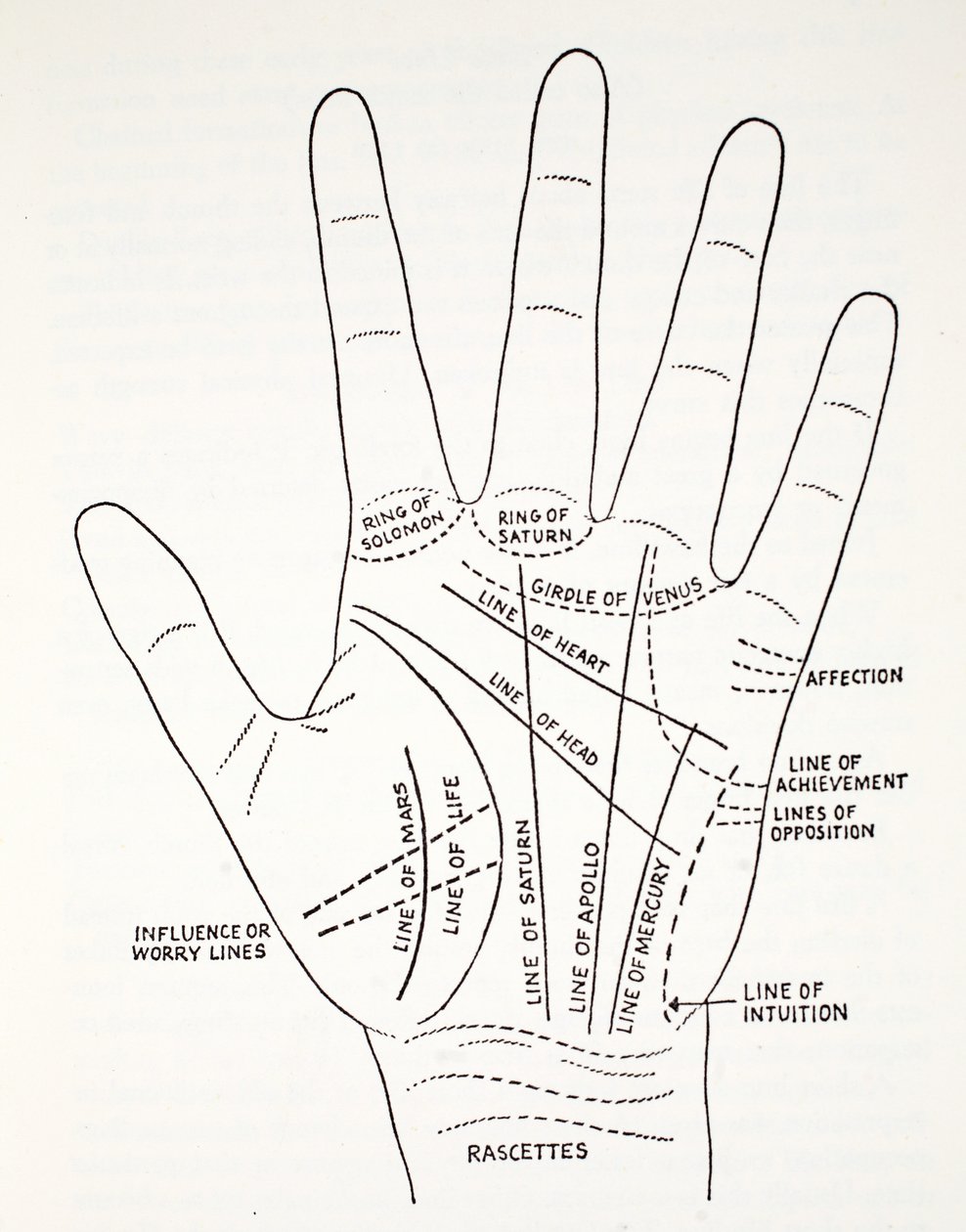 Grundlinien und Nebenlinien der Hand von English School